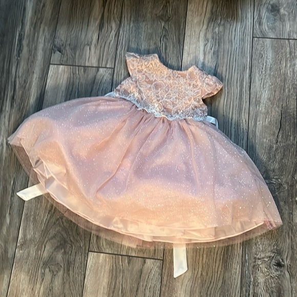Little girl toddler light pink lace and tulle flower girl formal wedding dress - Picture 2 of 2